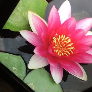 Meet your Posher, Gaby